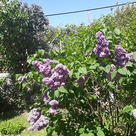 Gretl - Residence Parcines Εξωτερικό φωτογραφία
