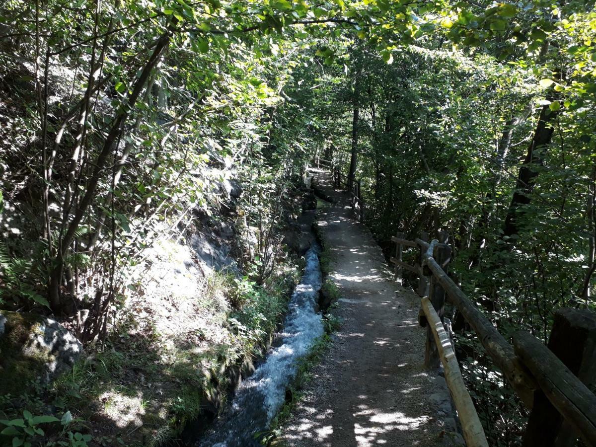 Gretl - Residence Parcines Εξωτερικό φωτογραφία